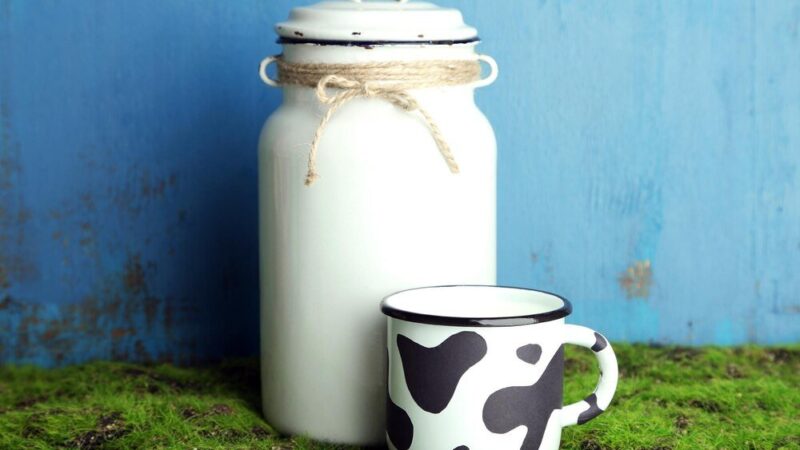 Alergia na mleko krowie – objawy u dzieci i dorosłych