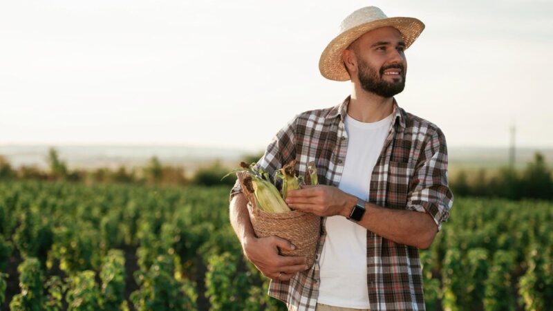 Dziedziczenie ziemi rolnej przez nierolnika – przepisy i obowiązki