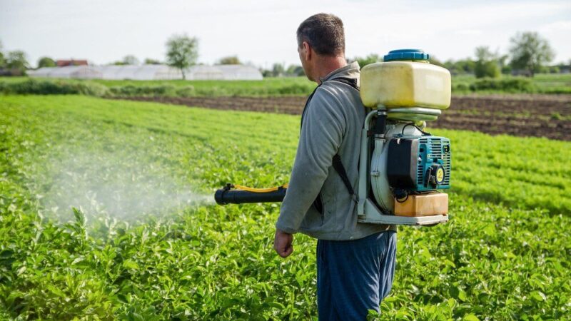 Gdzie zrobić atest na opryskiwacz – formalności, wymagania, koszty