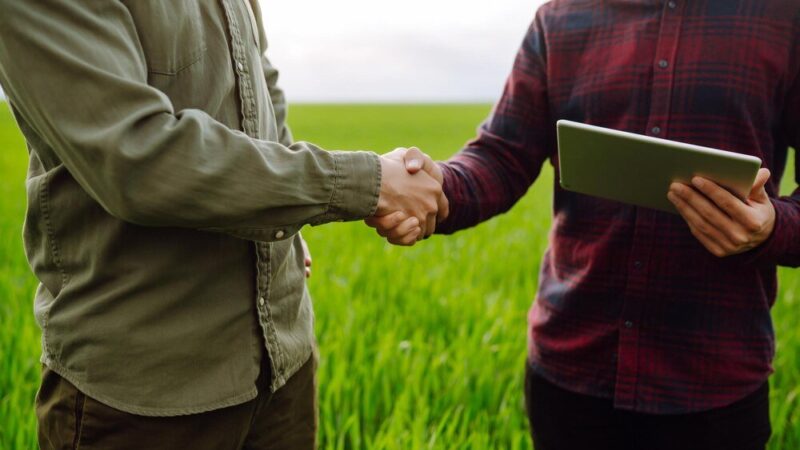 Ile kosztuje dzierżawa ziemi? Stawki i przykładowe wyceny