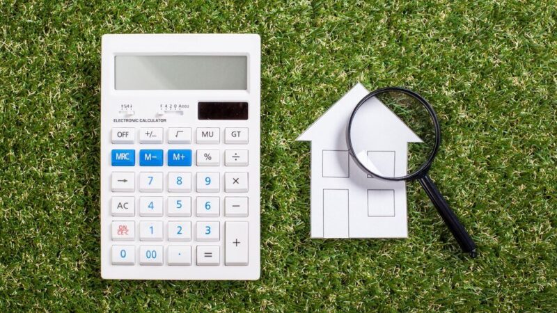 Ile kosztuje hektar ziemi w Wielkopolsce – aktualne ceny i tendencje rynkowe