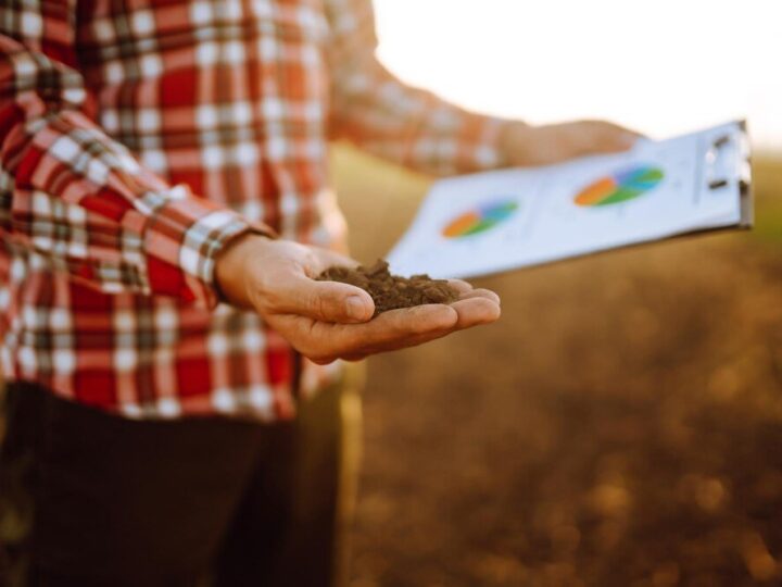 Ile kosztuje mocznik – ceny nawozu i opłacalność zakupu