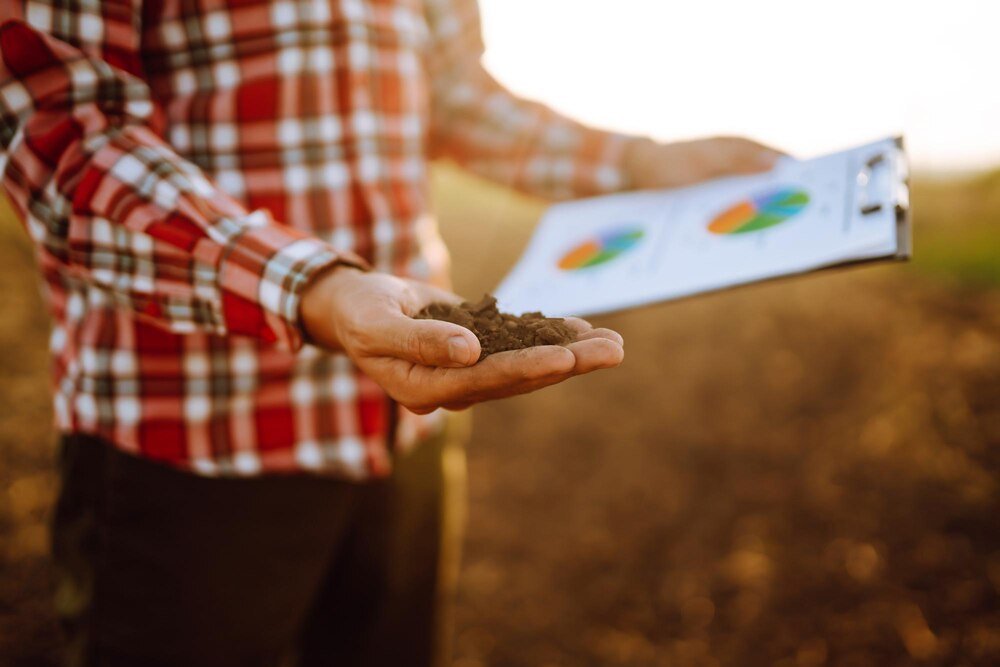 Ile kosztuje mocznik – ceny nawozu i opłacalność zakupu