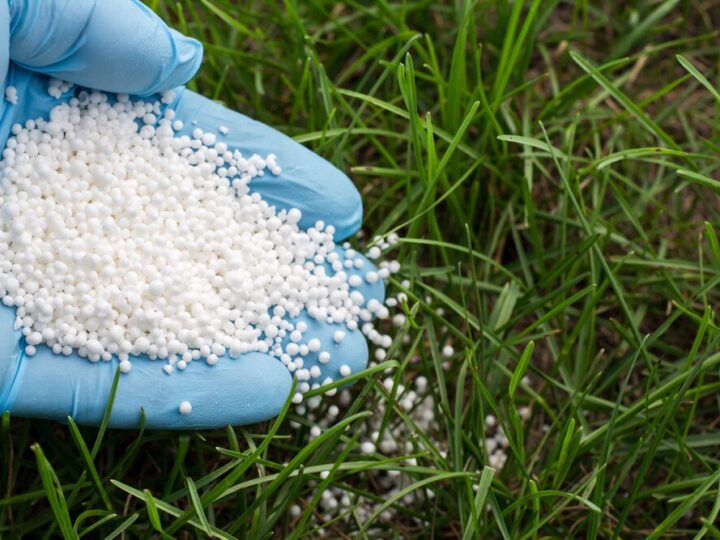 Ile kosztuje saletrzak – aktualne ceny i porównanie