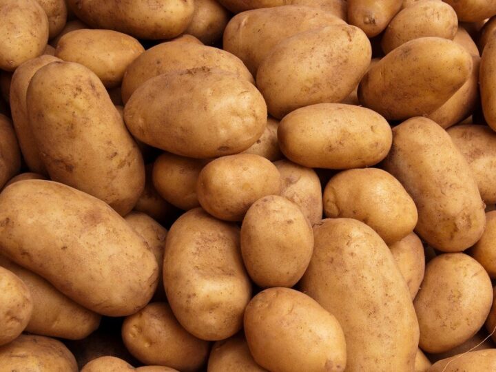 Ile kosztuje tona ziemniaków – aktualne ceny skupu