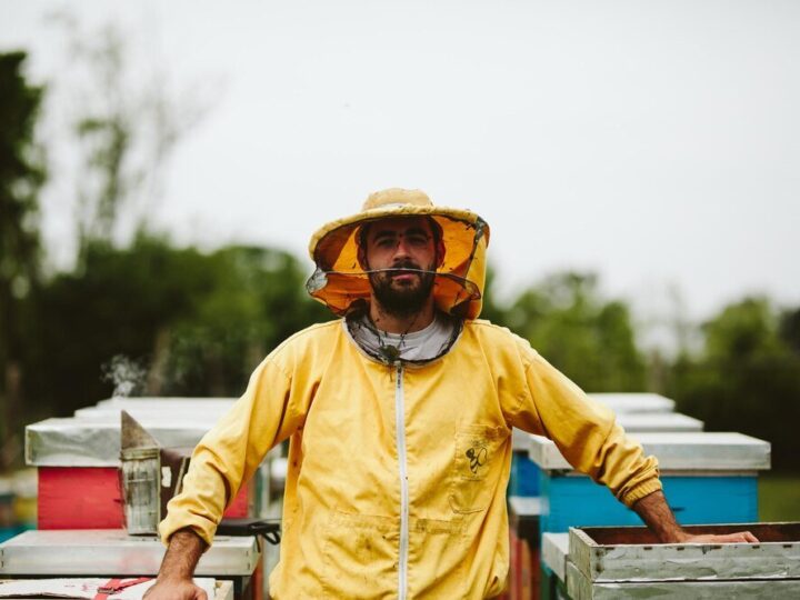 Jak zrobić odkład pszczeli krok po kroku