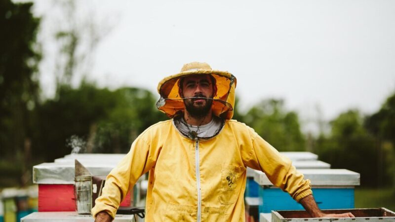 Jak zrobić odkład pszczeli krok po kroku