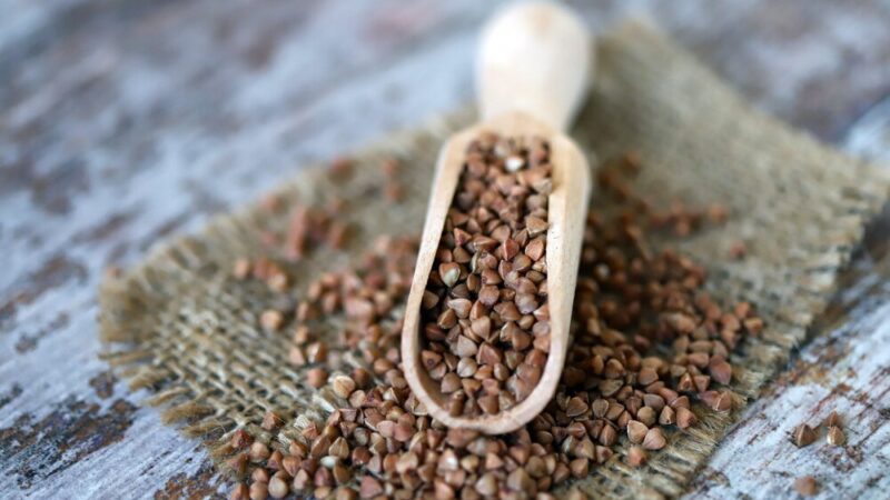 Kiedy siać grykę na ziarno – terminy i zalecenia