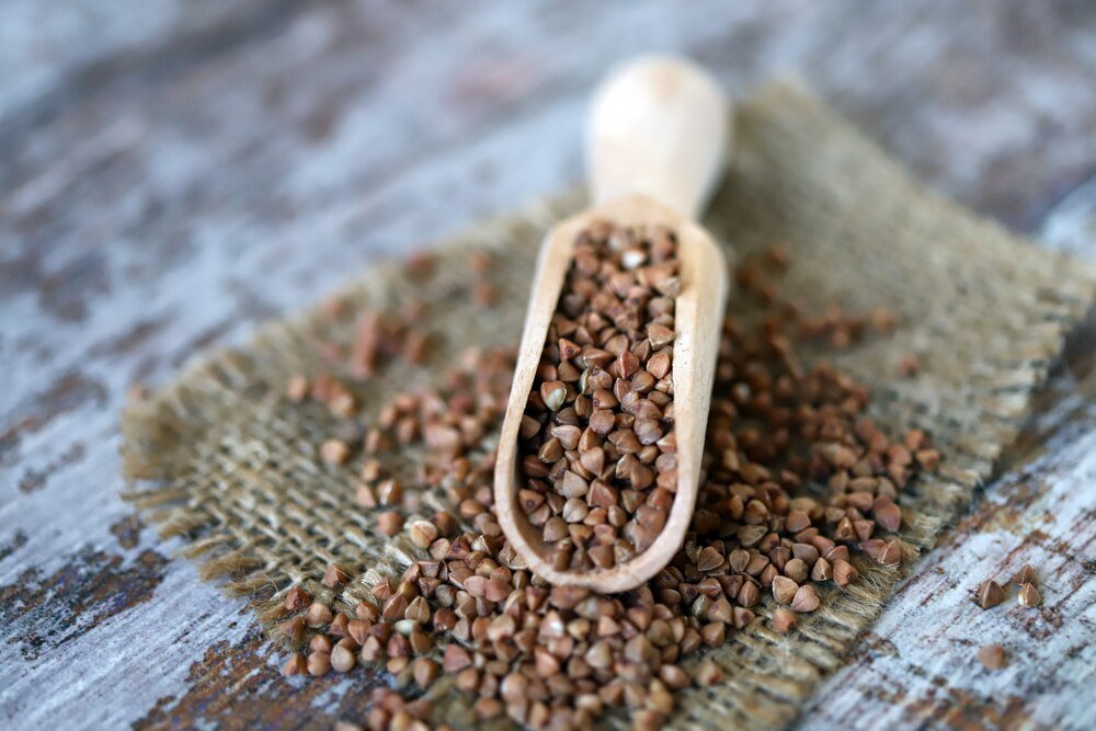 Kiedy siać grykę na ziarno – terminy i zalecenia