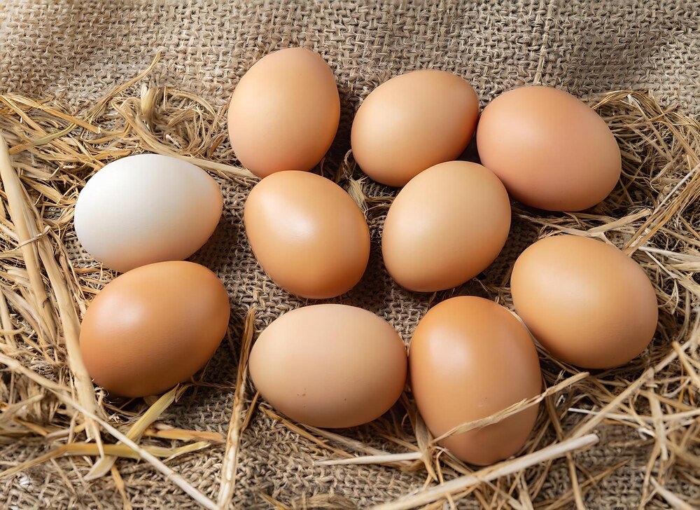 Kury znoszą zakrwawione jajka – przyczyny i co robić