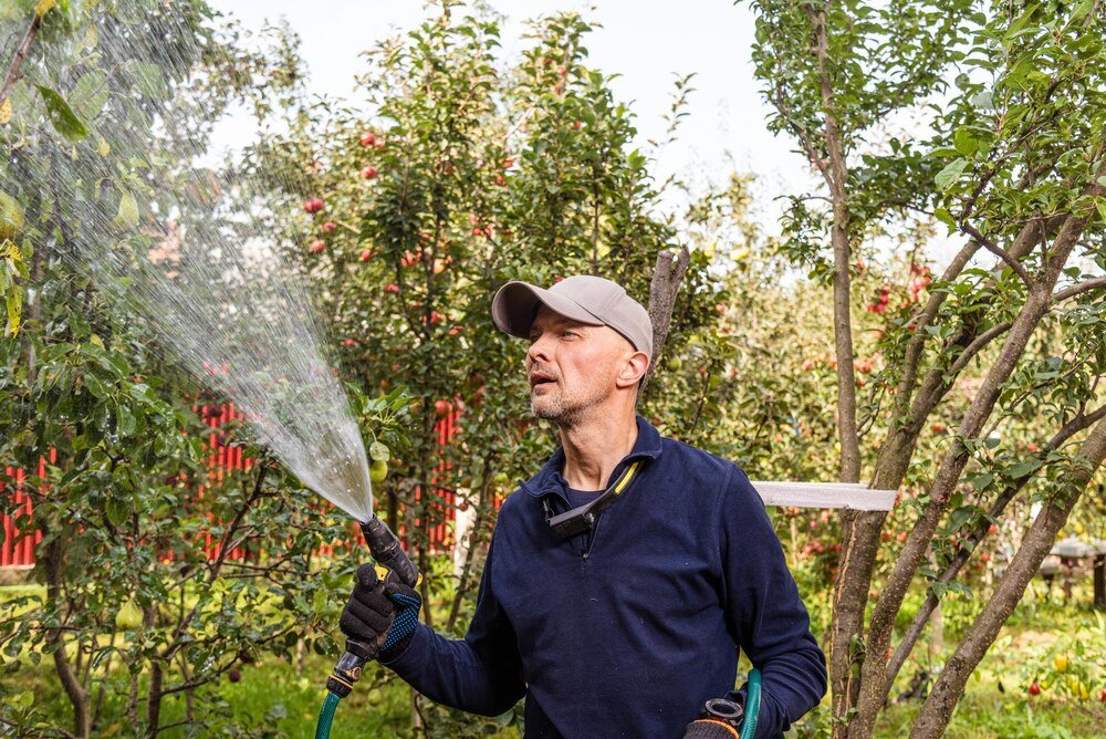 Oprysk brzoskwini octem – czy to bezpieczne dla roślin?