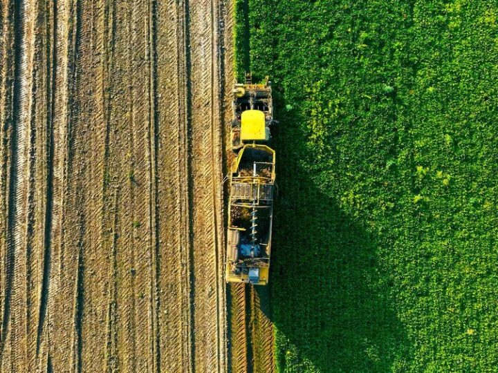 Przyrodnicze warunki rozwoju rolnictwa – znaczenie klimatu, gleb i ukształtowania terenu