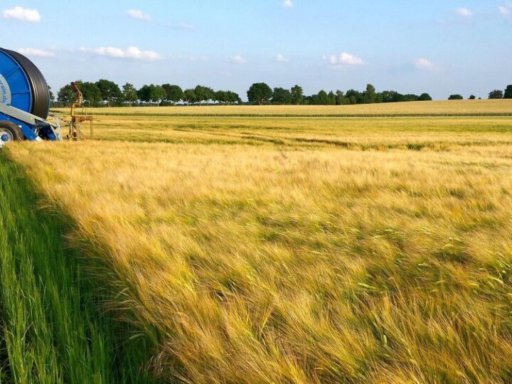 Rolnictwo i przemysł Polski – powiązania, znaczenie dla gospodarki, wyzwania