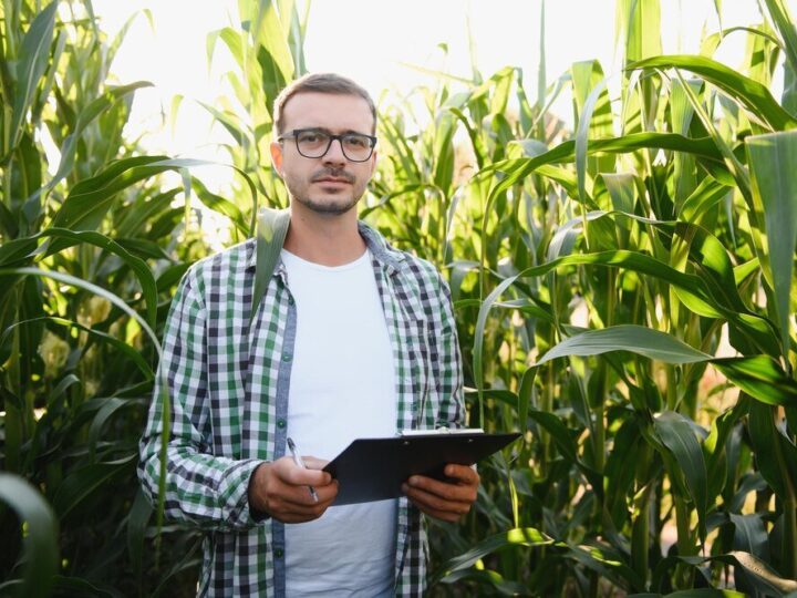 Specjalista od rolnictwa – czym się zajmuje i kiedy warto skorzystać?