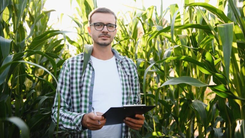 Specjalista od rolnictwa – czym się zajmuje i kiedy warto skorzystać?