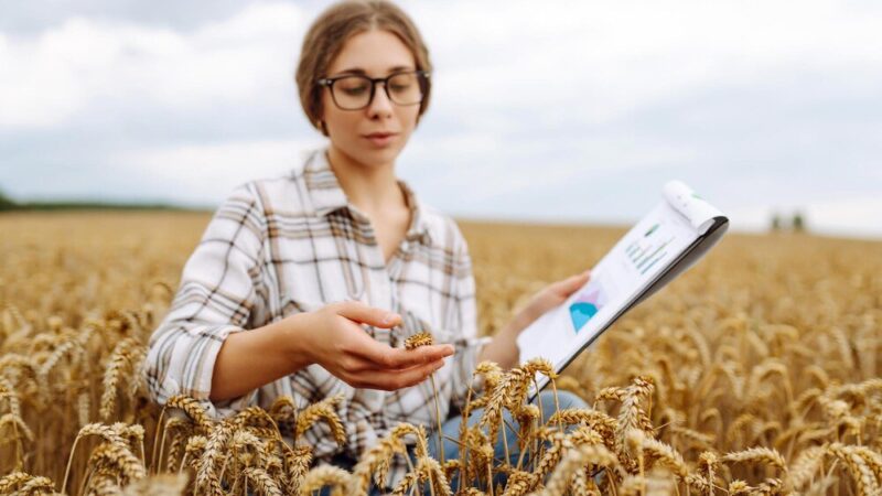 Studia podyplomowe rolnictwo – dla kogo i jakie możliwości?